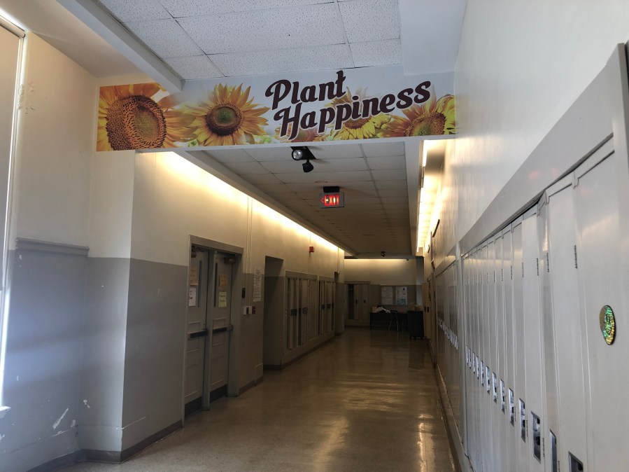 Marietta MS Plant Happiness